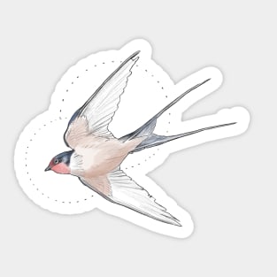 swallow Sticker